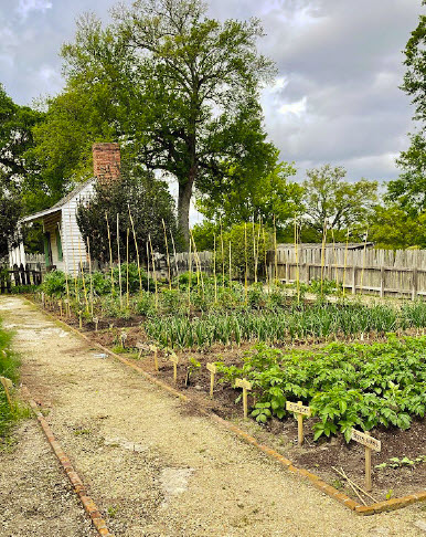 Crops grown at Magnolia Mound.